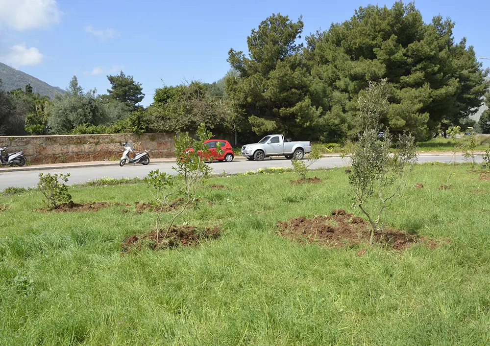 Rotonda Via Scalea - Metropolitree