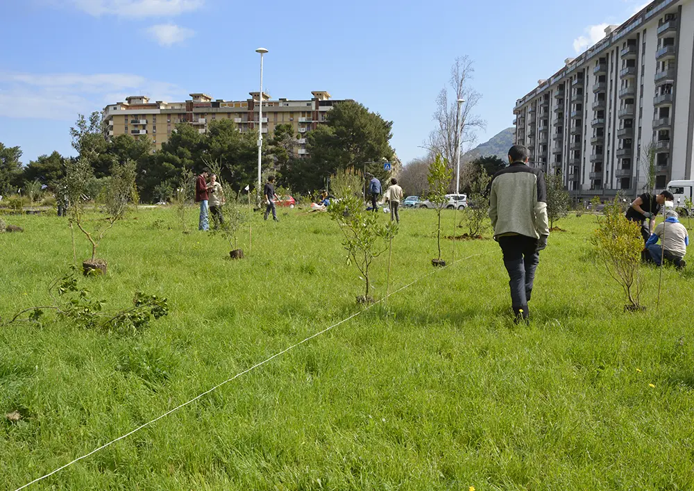 Rotonda Via Scalea - Metropolitree