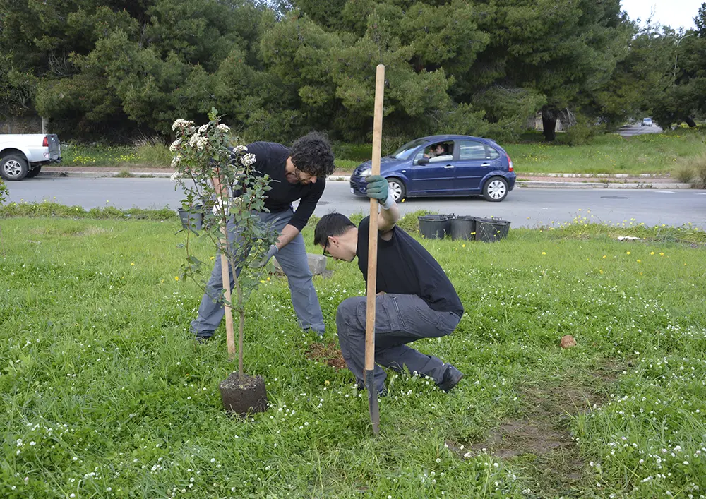 Rotonda Via Scalea - Metropolitree