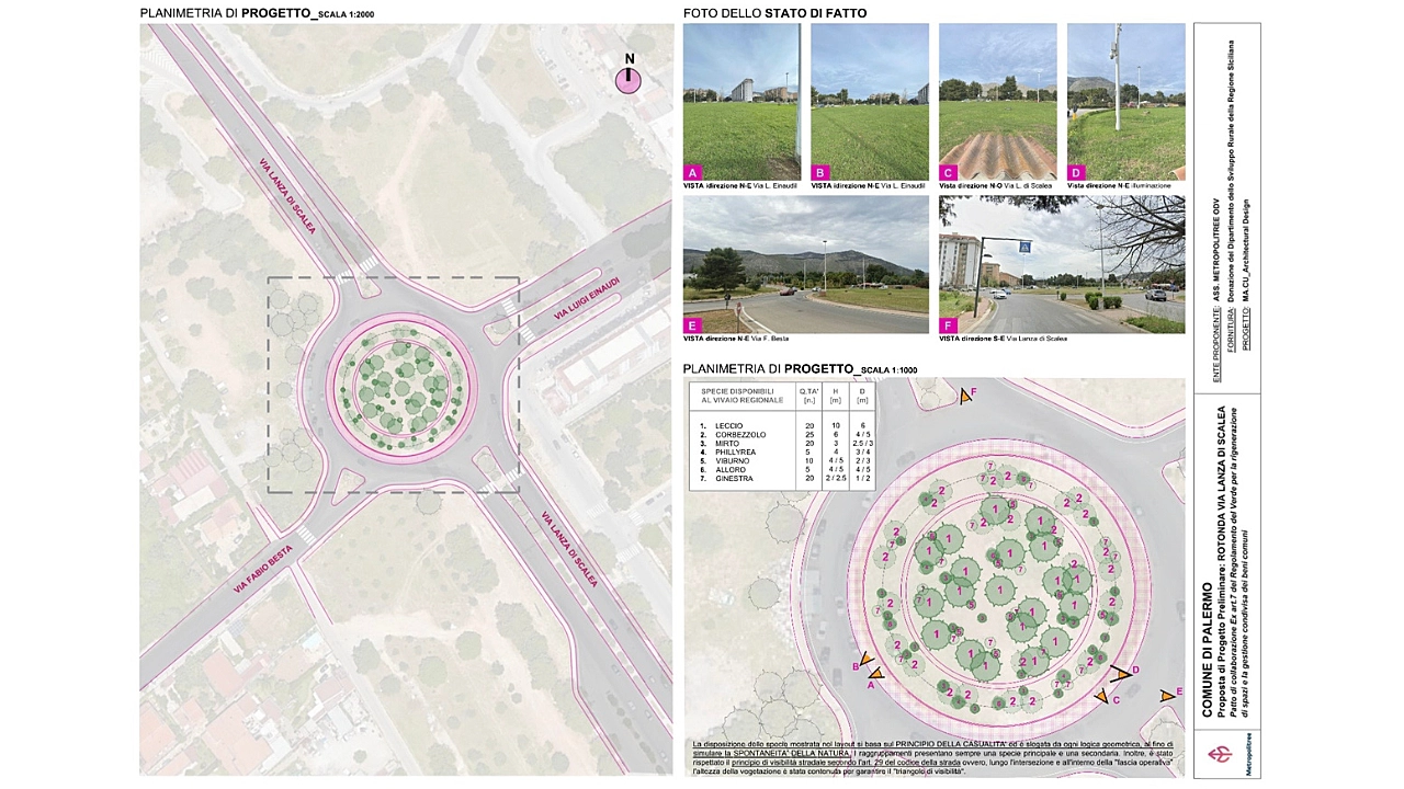 Layout finale