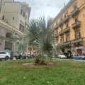 Piazza Bottego rinasce: la storia del primo progetto speciale urbano di Metropolitree
