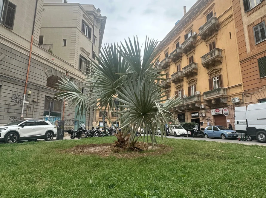Piazza Bottego Rinasce